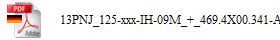 13PNJ_125-xxx-IH-09M_+_469.4X00.341-ABD