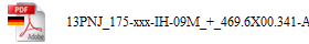 13PNJ_175-xxx-IH-09M_+_469.6X00.341-ABD