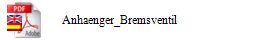 Anhaenger_Bremsventil