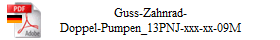 Guss-Zahnrad-
Doppel-Pumpen_13PNJ-xxx-xx-09M
