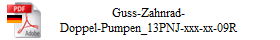 Guss-Zahnrad-
Doppel-Pumpen_13PNJ-xxx-xx-09R