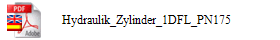 Hydraulik_Zylinder_1DFL_PN175