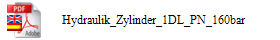 Hydraulik_Zylinder_1DL_PN_160bar