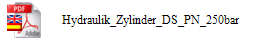 Hydraulik_Zylinder_DS_PN_250bar
