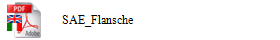 SAE_Flansche