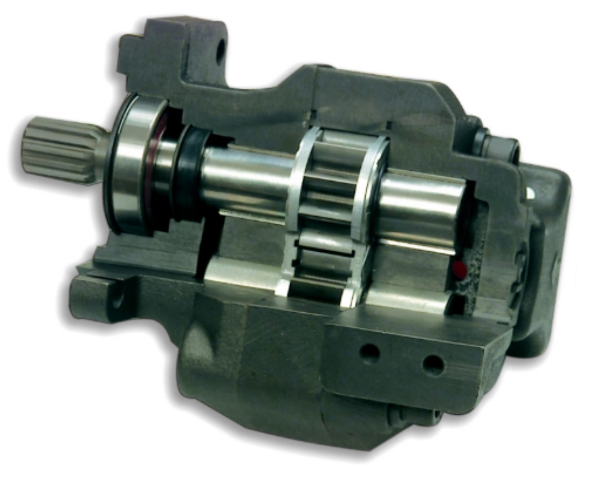 x-section PNC